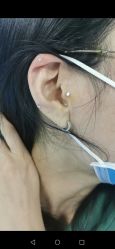 -花师傅