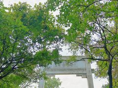 -紫金山山顶公园