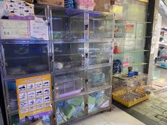 -青石桥花鸟鱼虫市场(叠翠城店)