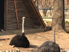 -西安秦岭野生动物园