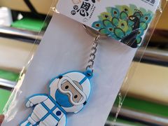 -西双版纳原始森林公园