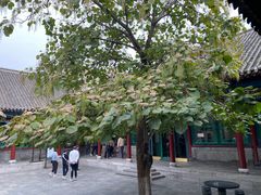 -张学良旧居陈列馆
