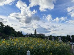 -云禾壹海景庄园餐厅