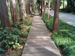 -同里国家湿地公园