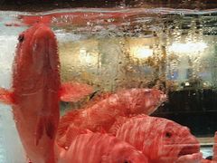 -阿伟海鲜楼·福建菜(延寿店)