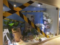 -IPSTAR|潮玩星球(西湖路店)