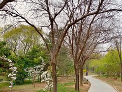 -中关村生命科学园