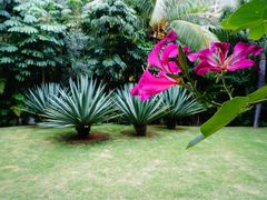 -三亚湾海居铂尔曼度假酒店