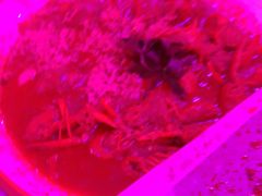 -路边边.炒菜烧烤.音乐餐厅(良乡长虹店)