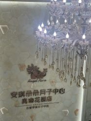 -安琪朵朵独栋花园月子中心