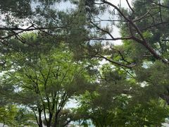 -景福宫