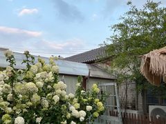 -Jo's Garden