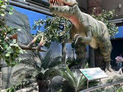 -国家自然博物馆