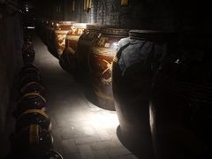 -爱新觉罗皇家博物院