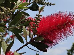 -桤木河湿地公园