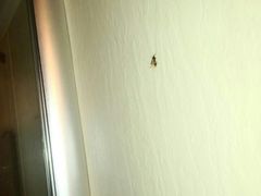 android_upload_pic-怡莱酒店(青州宋城古城景区店)