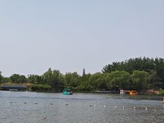 -大兴滨河森林公园