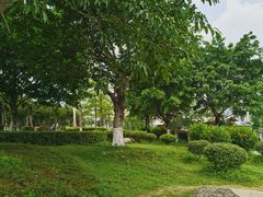 -飞来湖湿地公园