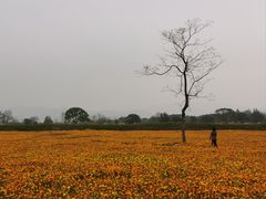 -良渚古城遗址公园