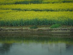 -新安江山水画廊风景区