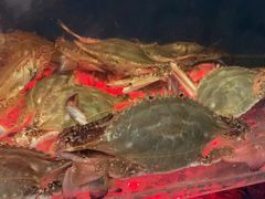 -臻鲜燕海鲜融合餐厅(金陵style店)