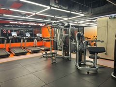 -健身专家Wellness Experts