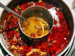 -蛙两只美蛙鱼头火锅(恒茂店)