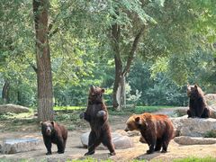 -北京野生动物园