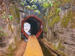 -武夷山风景名胜区-玉女峰