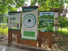 -大望京公园