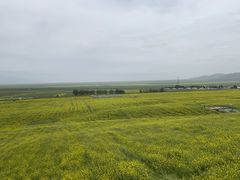 -扁都口生态休闲旅游区