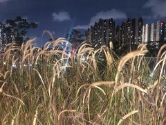 -白石龙音乐公园