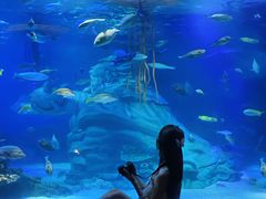 -沈阳海洋探索中心