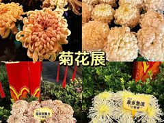 -清明上河园