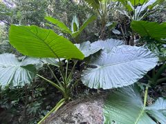 -七仙岭温泉国家森林公园