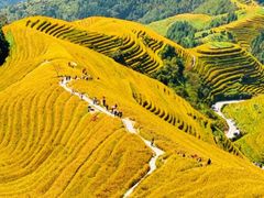 -龙脊梯田风景名胜区游客中心-停车场