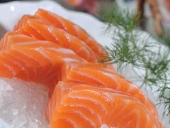 三文鱼刺身-左舞日本料理