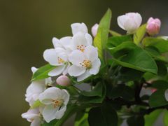 -上海吴淞炮台湾国家湿地公园