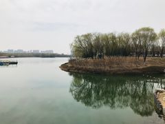 -大兴滨河森林公园