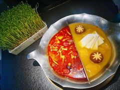 台式麻辣锅拼花胶鸡-湊湊火锅·茶憩(打浦桥日月光店)