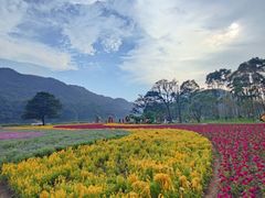 -广州市石门国家森林公园