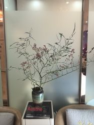 -紫洁俪方（北京）医疗美容