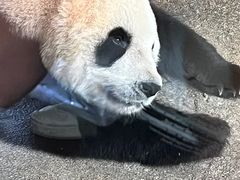 -宁波野生动物园