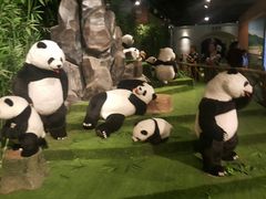 景点-成都泰迪熊博物馆