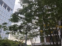 -混果汁(前海嘉里中心店)