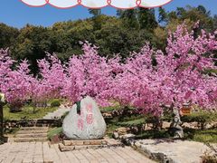 -三国水浒景区(无锡影视基地)