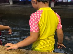 -南宫温泉水世界