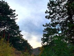 -鬼笑石后山停车场