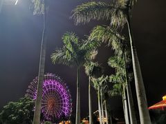 -南海渔家•海鲜•正宗海南菜(海棠湾店)