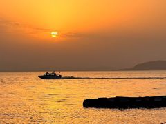 -上海市保健医疗中心